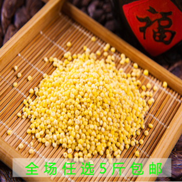 东北大黄米黏黍子米年糕米粗粮杂粮特产不满意退款250g