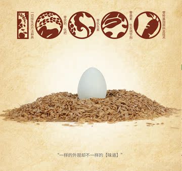 预定(季度卡)2016年太朴有机会TP10000别墅阳光土鸡蛋散养土鸡蛋