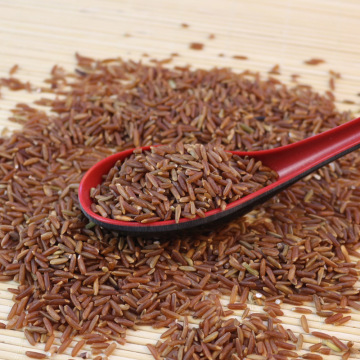 农家红米 红粳米红血稻糙米 五谷杂粮250g红米五谷杂粮