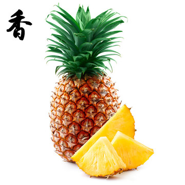 福建特产景区黄金新鲜小菠萝当季时令水果香水 非凤梨 除味去异味