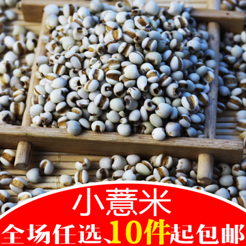 精选小薏米仁 薏米薏仁米苡米仁250g 农家自产做粥粗粮满